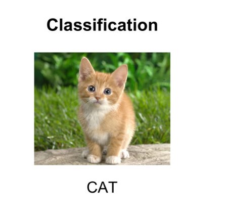 Object Classification 