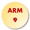 ARM9
